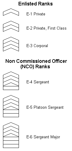 enlisted and non-commissioned officer rank insignia